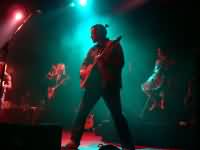 17 Hippies 17 Hippies