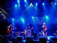 Black Crowes Black Crowes