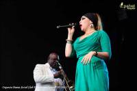 Orquesta Buena Vista Social Club