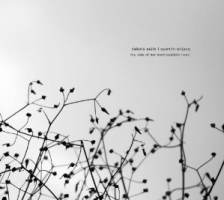 The Side Of Her Inexhaustible Heart