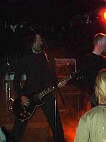 The Old Dead Tree The Old Dead Tree