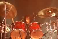 Eden's Curse Eden's Curse