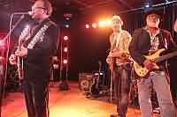 Preston Shannon & Fat Harry & The Fuzzy Licks