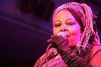 Preston Shannon & Fat Harry & The Fuzzy Licks