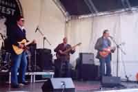 Siberian Blues Huskies