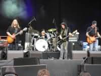 Gov't Mule