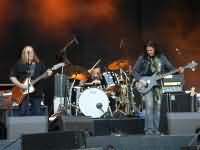 Gov't Mule