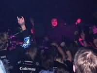 Alliance Of Hellhounds