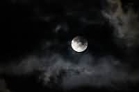 Herzberg Festival Herzberg Festival