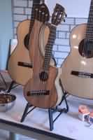 Gitarren-Ausstellung