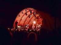 Lucinda Williams Lucinda Williams