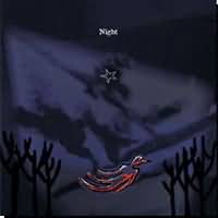 Night