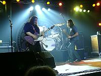 Gov't Mule