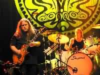 Gov't Mule