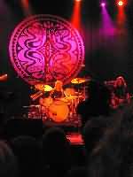 Gov't Mule