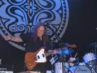 Gov't Mule