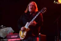 Gov't Mule