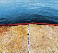 places we need� brahlshagen