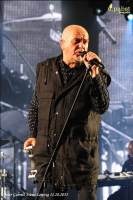 Peter Gabriel