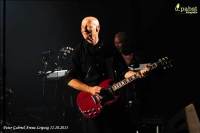 Peter Gabriel