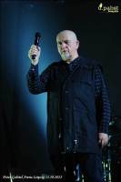 Peter Gabriel