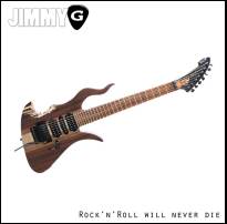 Rock'n'Roll Will Never Die