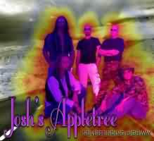 Never Ending Highway