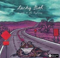 A Frog On The Highway