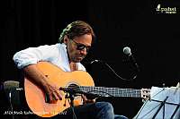 Al Di Meola