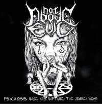 Psychosis, Rage And Rapture: The Journey Down