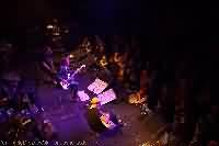 Gustav Ray Gustav Ray