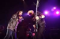 MSG, Z7, Pratteln/CH, 2008 MSG, Z7, Pratteln/CH, 2008