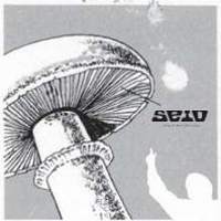 Among The Monster Flowers Again