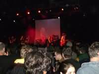 XXI. Vibe For Philo / Wild One