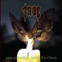 Pray For Calm - Need The Chaos