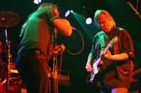 Walter Trout Walter Trout