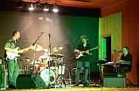 Orange Shakers Orange Shakers