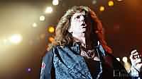 Whitesnake