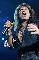 Whitesnake