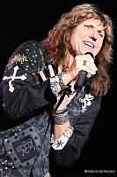 Whitesnake