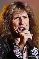 Whitesnake