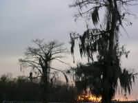 Sunset in Louisiana