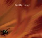 Burnt Belief - Verlosung