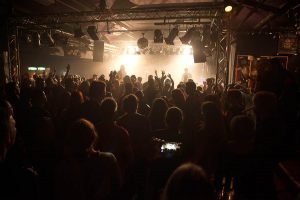 The New Roses in Viersen