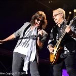 Foreigner in Leipzig, Parkbühne