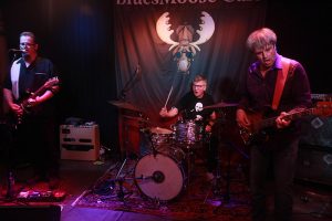 Monti Amundson im Blues Moose Café