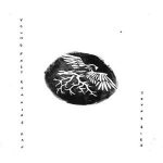 Young Fast Running Man - "Young Bird" - CD-Review