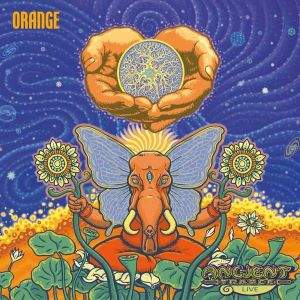 Orange / Ancient Trance