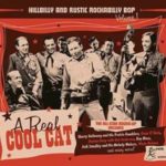 V.A. / Hillbilly And Rustic Rockabilly Bop Volume 1 - CD- Review V.A. / Hillbilly And Rustic Rockabilly Bop Volume 1 - CD- Review