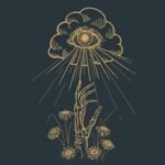 Blossom Cult / Closure – CD-Review Blossom Cult / Closure – CD-Review